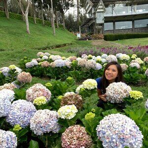 Meet your Posher, Wan yu